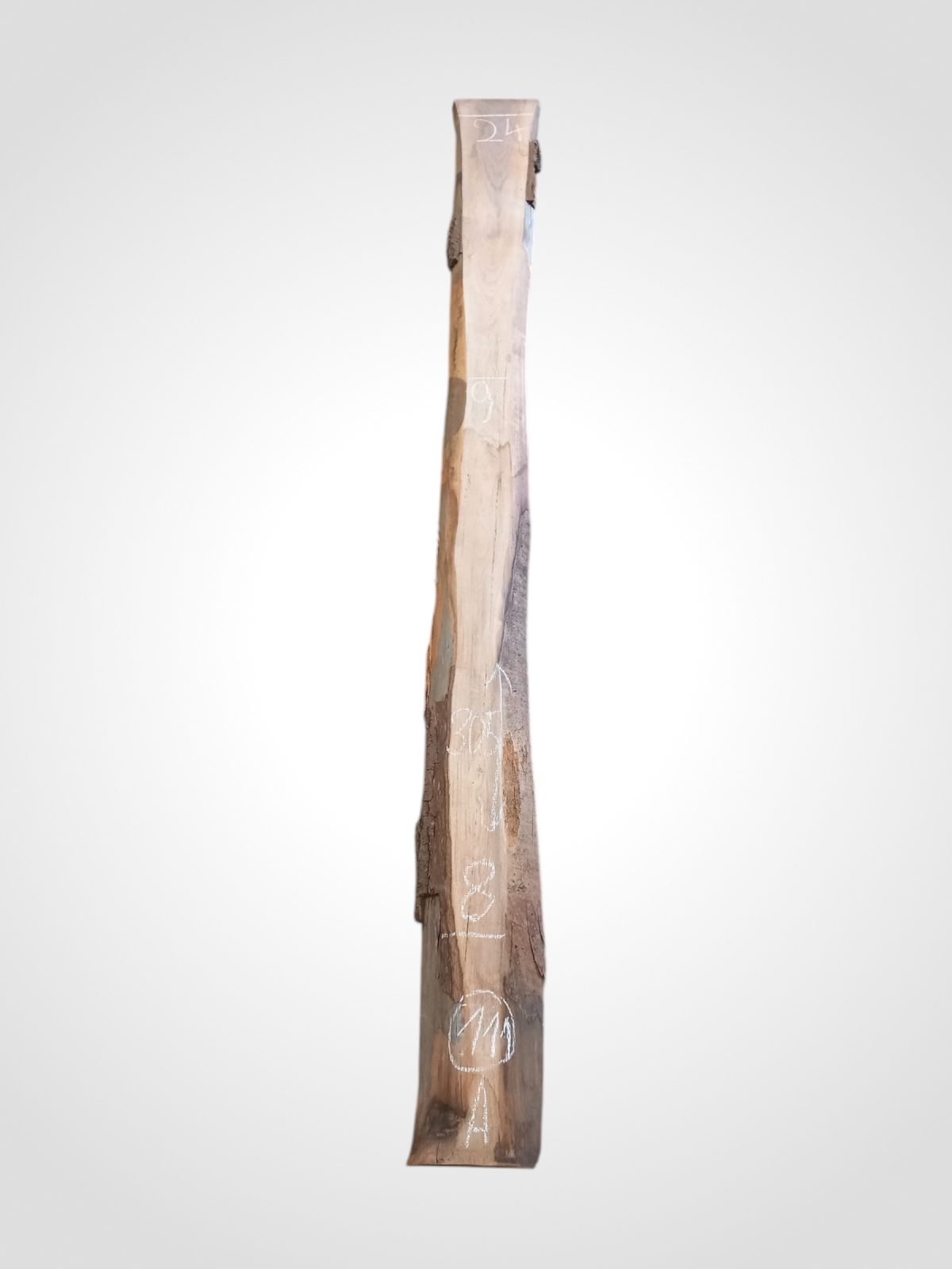 Ořech černý 30/32 mm - 111