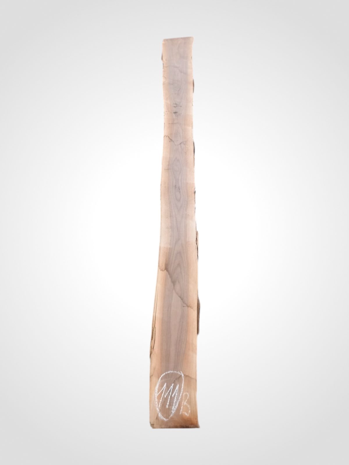 Ořech černý 30/32 mm - 111