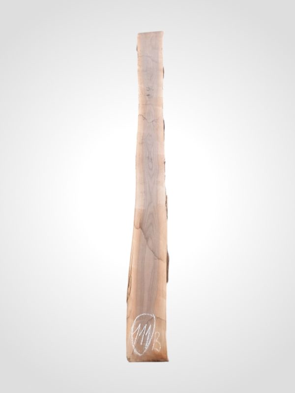 Ořech černý 30/32 mm - 111