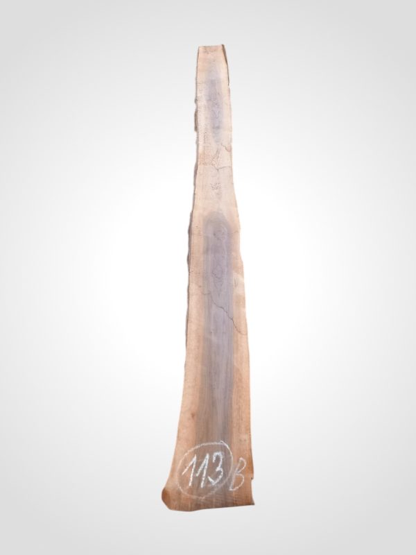 Ořech černý 30/32 mm - 113