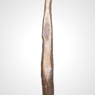 Ořech černý 30/32 mm - 115
