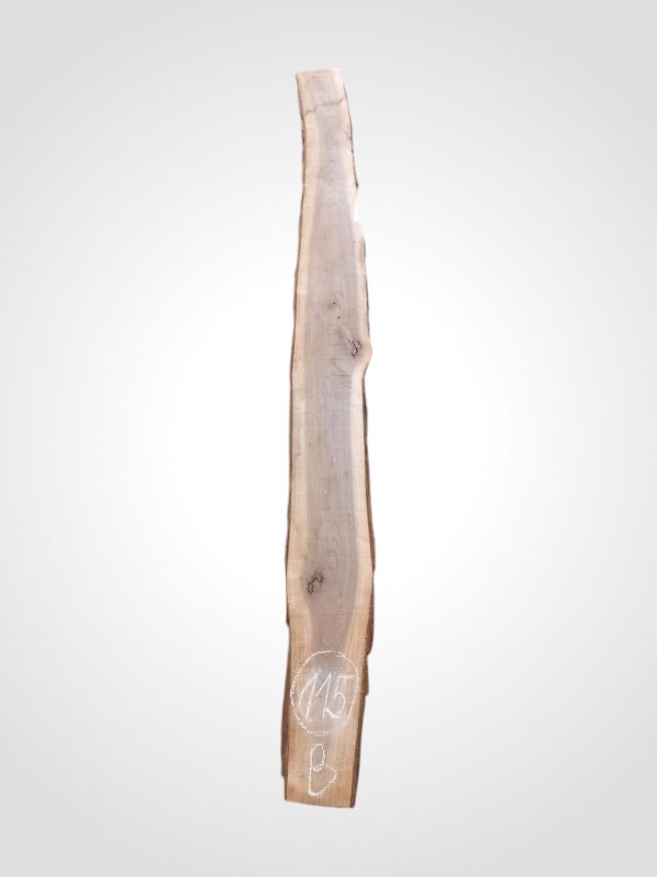 Ořech černý 30/32 mm - 115