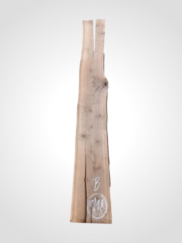 Ořech černý 30/32 mm - 118