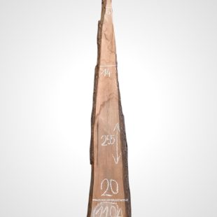 Ořech černý 30/32 mm - 120