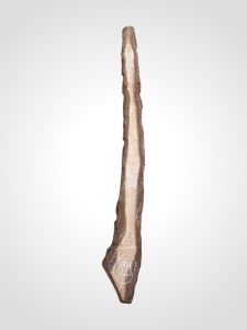 Ořech černý 30/32 mm - 121