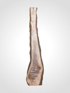 Ořech černý 30/32 mm - 76