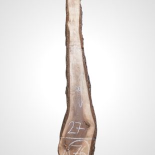 Ořech černý 30/32 mm - 76