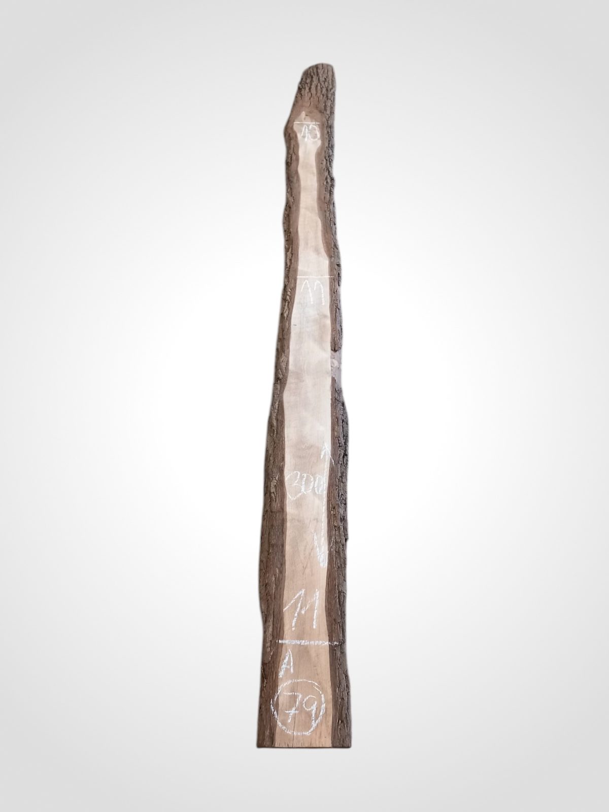 Ořech černý 30/32 mm - 79