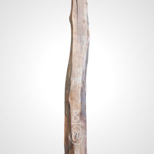 Ořech černý 30/32 mm - 80
