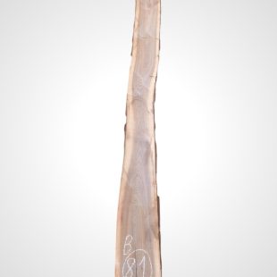 Ořech černý 30/32 mm - 81