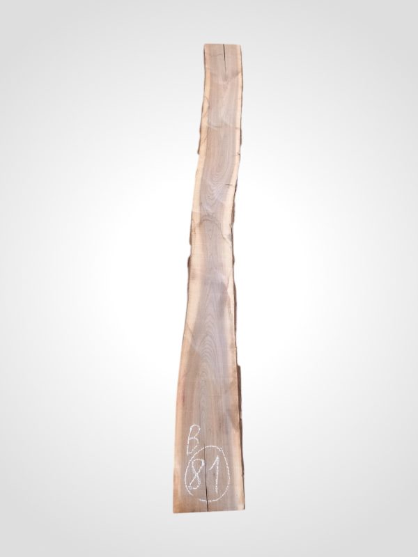 Ořech černý 30/32 mm - 81