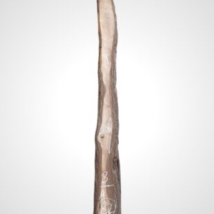 Ořech černý 30/32 mm - 82