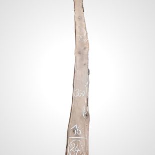Ořech černý 30/32 mm - 84