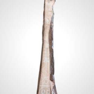 Ořech černý 30/32 mm - 85