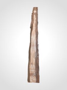 Ořech černý 30/32 mm - 86