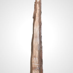 Ořech černý 30/32 mm - 86