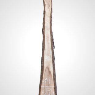 Ořech černý 30/32 mm - 87