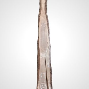 Ořech černý 30/32 mm - 89