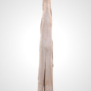 Ořech černý 30/32 mm - 89