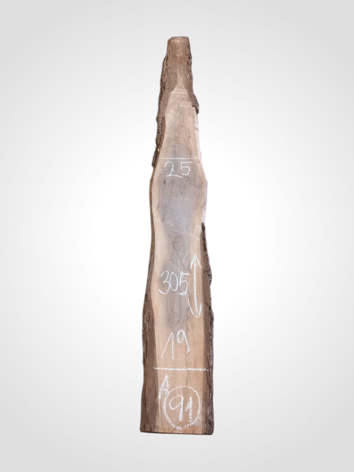Ořech černý 30/32 mm - 91