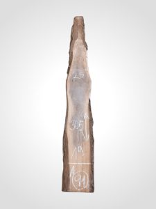 Ořech černý 30/32 mm - 91