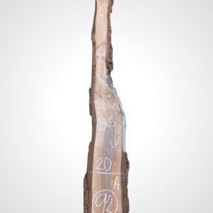 Ořech černý 30/32 mm - 92