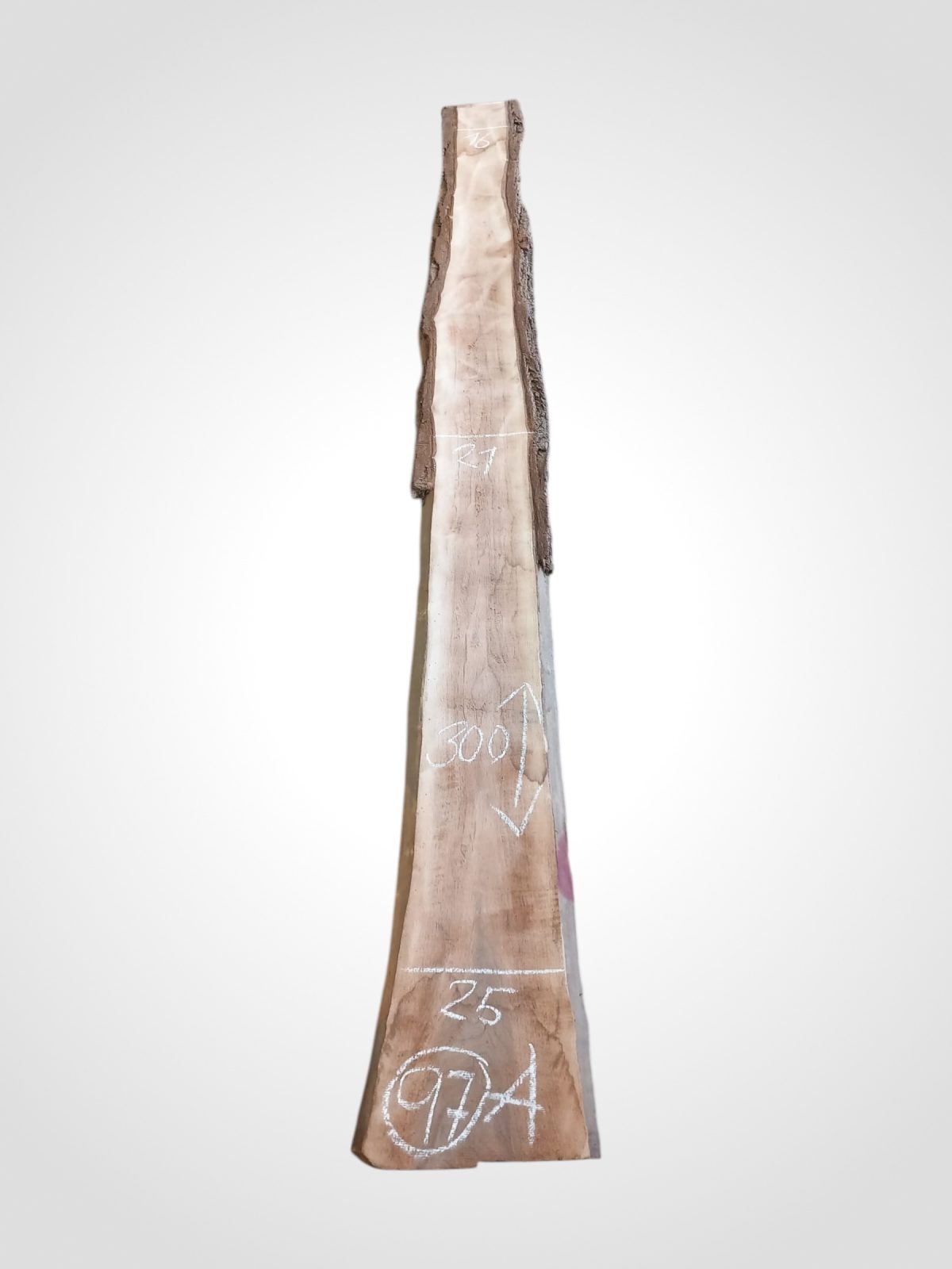 Ořech černý 30/32 mm - 97