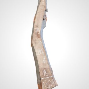 Ořech vlašský 35 mm - 115