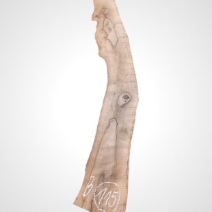 Ořech vlašský 35 mm - 115