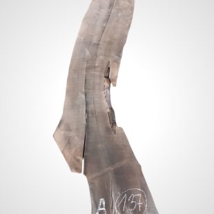 Ořech vlašský 35 mm - 137