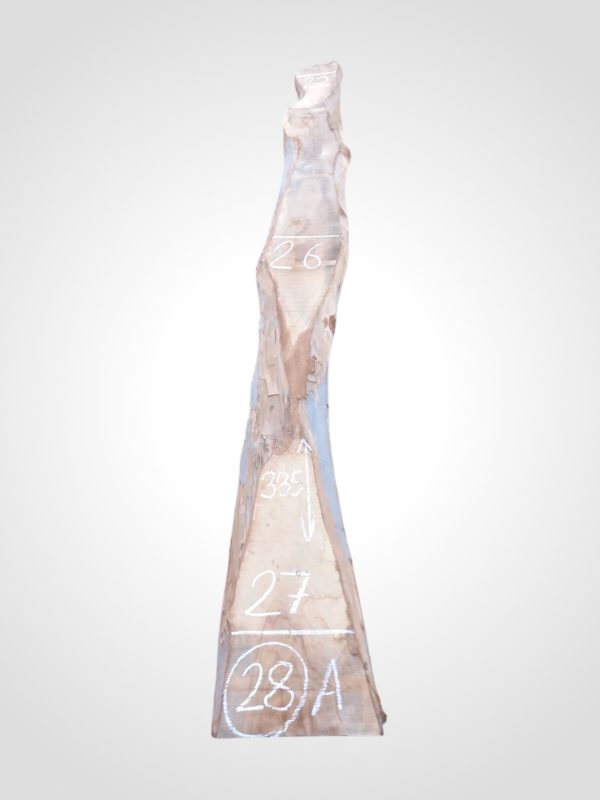 Ořech vlašský 50/52 mm - 28
