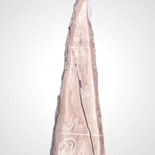 Ořech vlašský 50/52 mm - 29