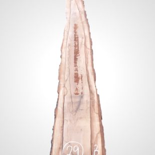 Ořech vlašský 50/52 mm - 29