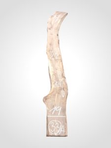 Ořech vlašský 50/52 mm - 33