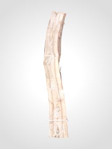 Ořech vlašský 65 mm - 36