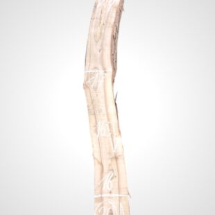 Ořech vlašský 65 mm - 36