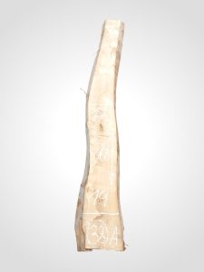 Ořech vlašský 65 mm - 38