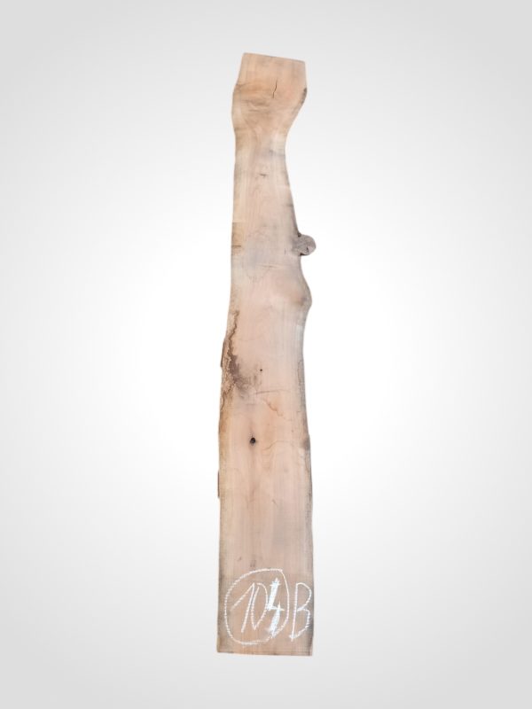 Třešeň evropská 30/32 mm - 104