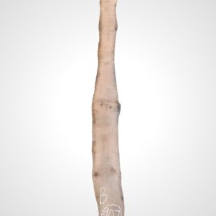Třešeň evropská 30/32 mm - 107