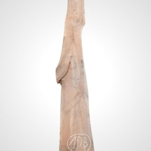Třešeň evropská 30/32 mm - 108