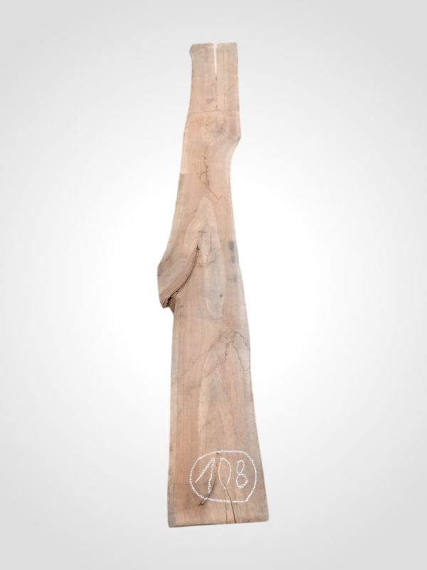 Třešeň evropská 30/32 mm - 108