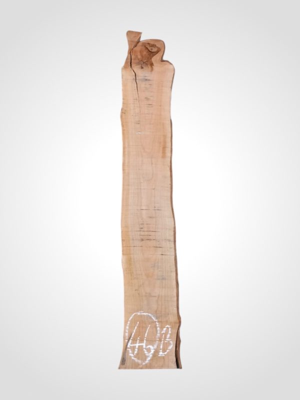 Třešeň evropská 30/32 mm - 46