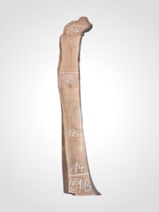 Třešeň evropská 30/32 mm - 51