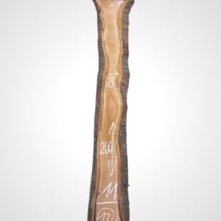 Třešeň evropská 35 mm - 17