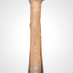 Třešeň evropská 35 mm - 17