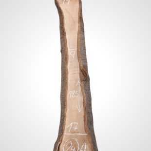 Třešeň evropská 35 mm - 24