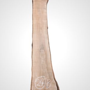 Třešeň evropská 35 mm - 24