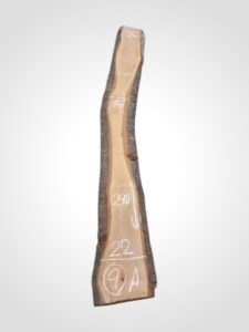 Třešeň evropská 50/52 mm - 9