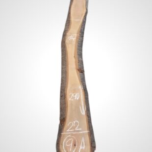 Třešeň evropská 50/52 mm - 9