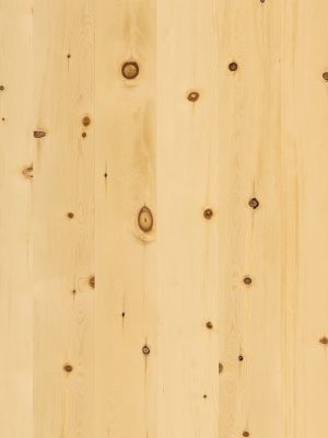 Zirbe - detail